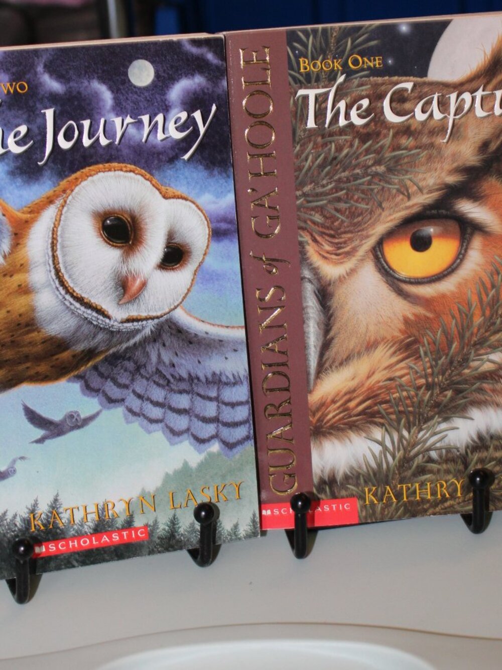 Guardians of Ga'Hoole, Books 1-12 by Kathryn Lasky - Picture 7 of 7